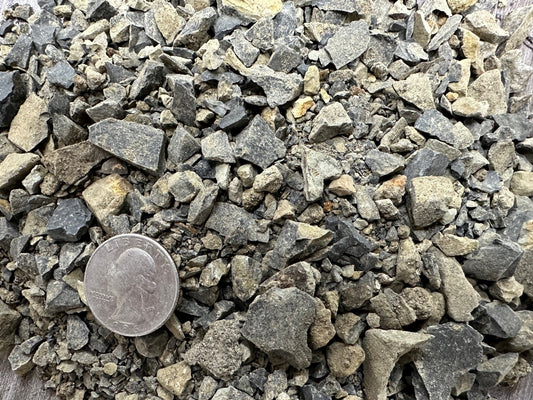 gravel rocks with a quarter